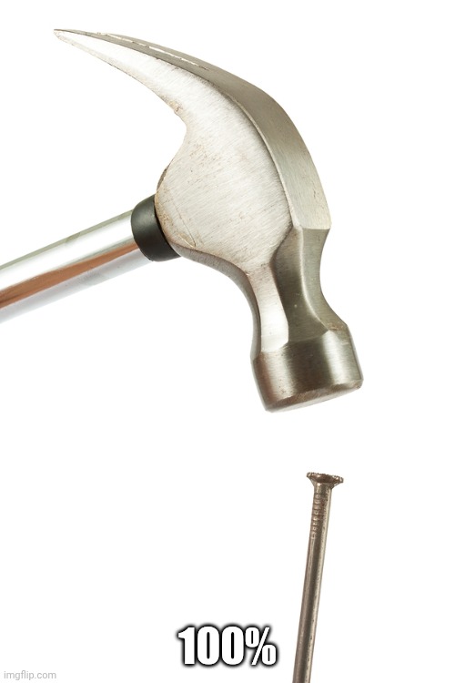 100% | image tagged in nailed it | made w/ Imgflip meme maker