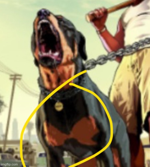 the dog is wearing a bra i swear | made w/ Imgflip meme maker