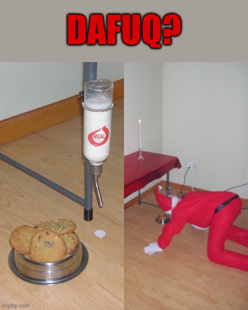 All I Can Say Is... Dafuq? | DAFUQ? | image tagged in milk,cookies,dafuq,cursed images,what the actual f,what's going on | made w/ Imgflip meme maker