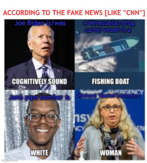 expression memes | ACCORDING TO THE FAKE NEWS [LIKE ''CNN''] | image tagged in cnn fake news,pipebomber,jan6 | made w/ Imgflip meme maker