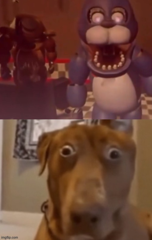 image tagged in scare doggo | made w/ Imgflip meme maker