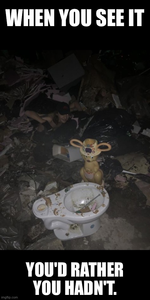 When You See It | WHEN YOU SEE IT; YOU'D RATHER YOU HADN'T. | image tagged in when you see it,creepy,cursed images,what a terrible day to have eyes,excuse me wtf,oh hell no | made w/ Imgflip meme maker