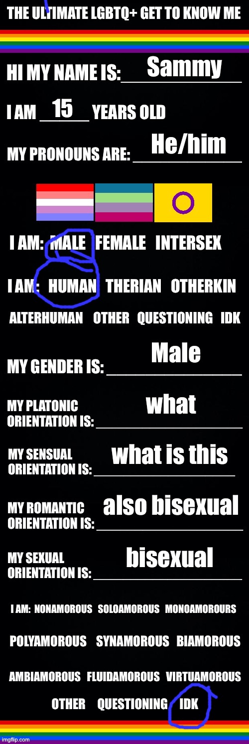 gayness, arise | Sammy; 15; He/him; Male; what; what is this; also bisexual; bisexual | image tagged in the ultimate lgbtq get to know me | made w/ Imgflip meme maker