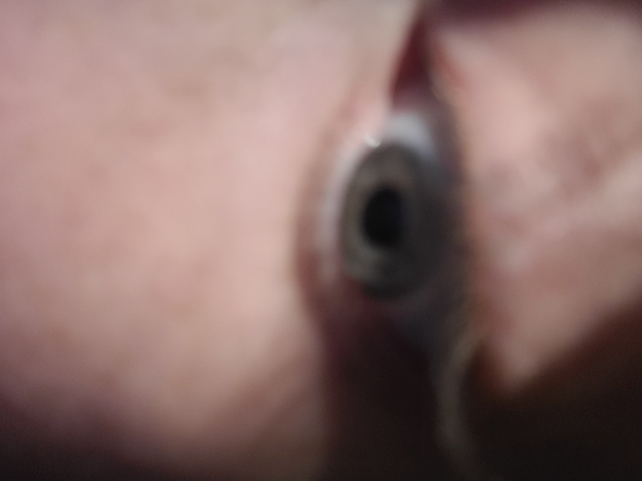 Cool skull Blank Meme Template