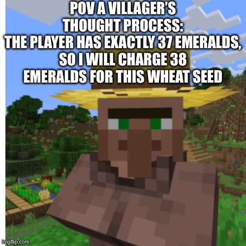 Villager Logic | POV A VILLAGER’S THOUGHT PROCESS:
THE PLAYER HAS EXACTLY 37 EMERALDS, SO I WILL CHARGE 38 EMERALDS FOR THIS WHEAT SEED | image tagged in minecraft,memes,minecraft memes,minecraft villagers | made w/ Imgflip meme maker