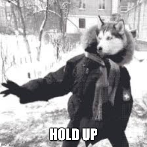 HOLD UP | made w/ Imgflip meme maker