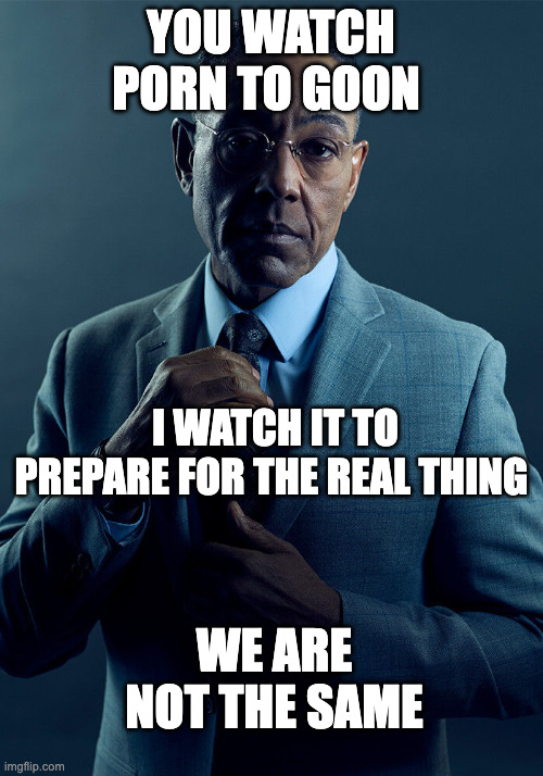 Gus Fring we are not the same | YOU WATCH PORN TO GOON; I WATCH IT TO PREPARE FOR THE REAL THING; WE ARE NOT THE SAME | image tagged in gus fring we are not the same | made w/ Imgflip meme maker