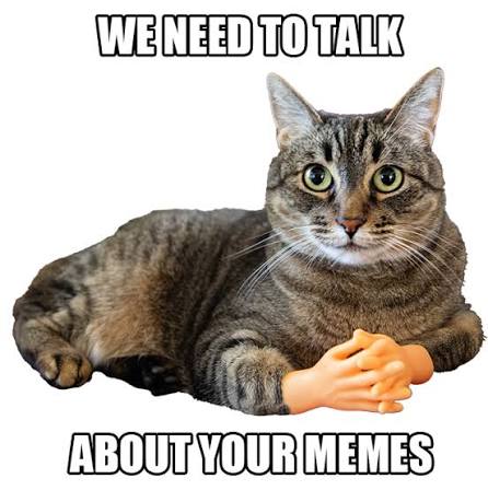 Sir Meows a Memes Blank Meme Template