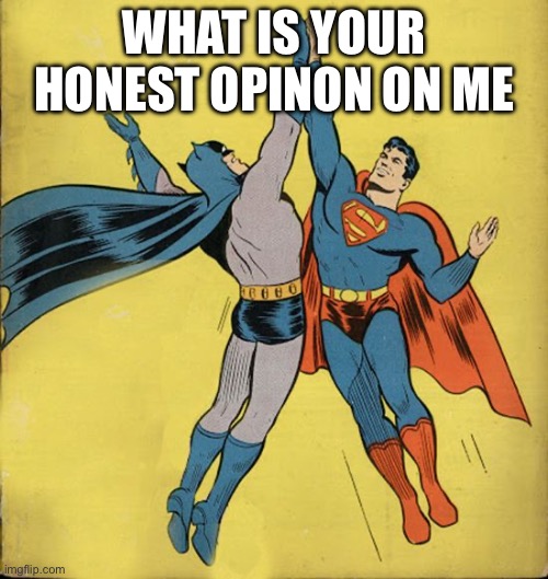Batman superman high five | WHAT IS YOUR HONEST OPINON ON ME | image tagged in batman superman high five | made w/ Imgflip meme maker