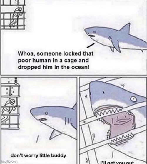 Human will be free :) | image tagged in sharks | made w/ Imgflip meme maker