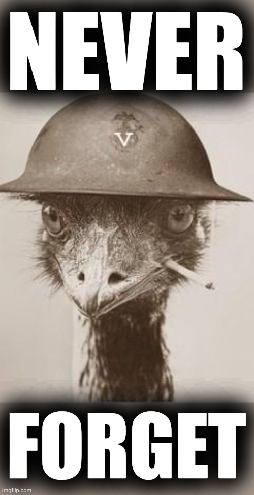 NEVER; FORGET | made w/ Imgflip meme maker