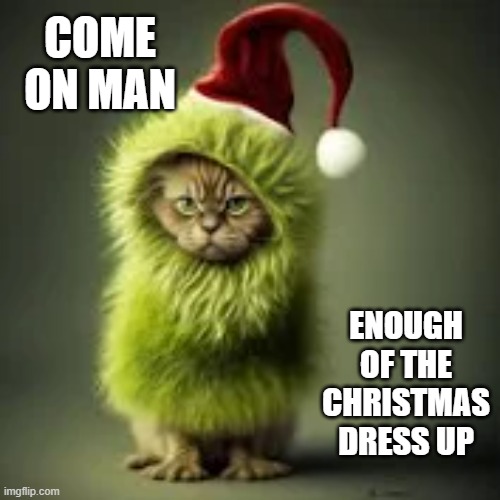 Cat is tired of all the Christmas dressing up.  --  funny  -- | COME ON MAN; ENOUGH OF THE CHRISTMAS DRESS UP | image tagged in cat,kittens,funny,humor,christmas,costumes | made w/ Imgflip meme maker