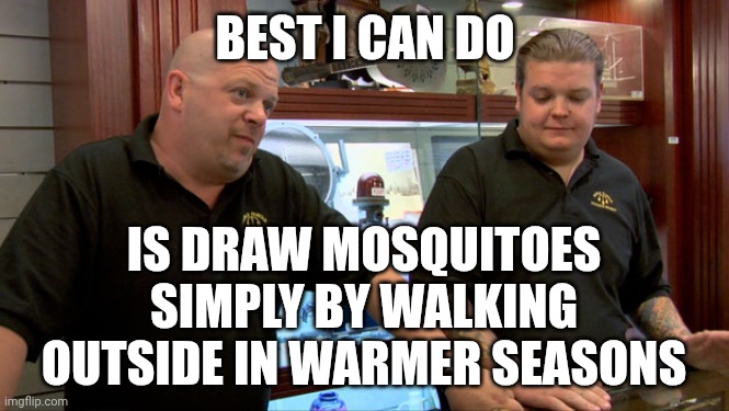 Pawn Stars Best I Can Do | BEST I CAN DO IS DRAW MOSQUITOES
SIMPLY BY WALKING OUTSIDE IN WARMER SEASONS | image tagged in pawn stars best i can do | made w/ Imgflip meme maker