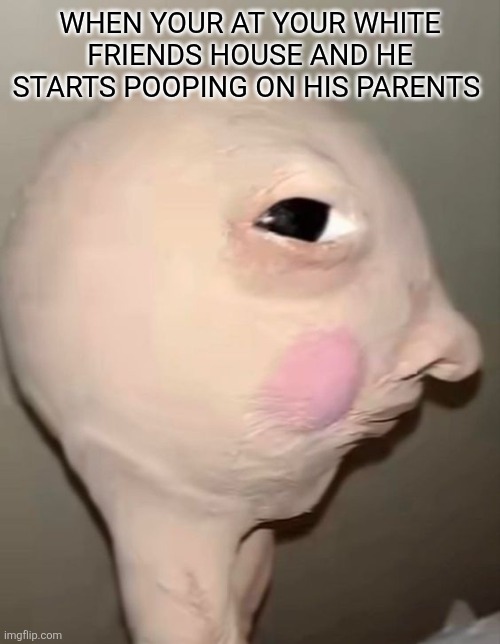Bombastic Side-Eye | WHEN YOUR AT YOUR WHITE FRIENDS HOUSE AND HE STARTS POOPING ON HIS PARENTS | image tagged in bombastic side-eye | made w/ Imgflip meme maker