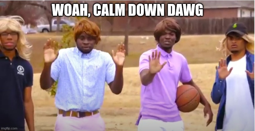 Woah, calm down Jamal, don't pull out the 9! | WOAH, CALM DOWN DAWG | image tagged in woah calm down jamal don't pull out the 9 | made w/ Imgflip meme maker