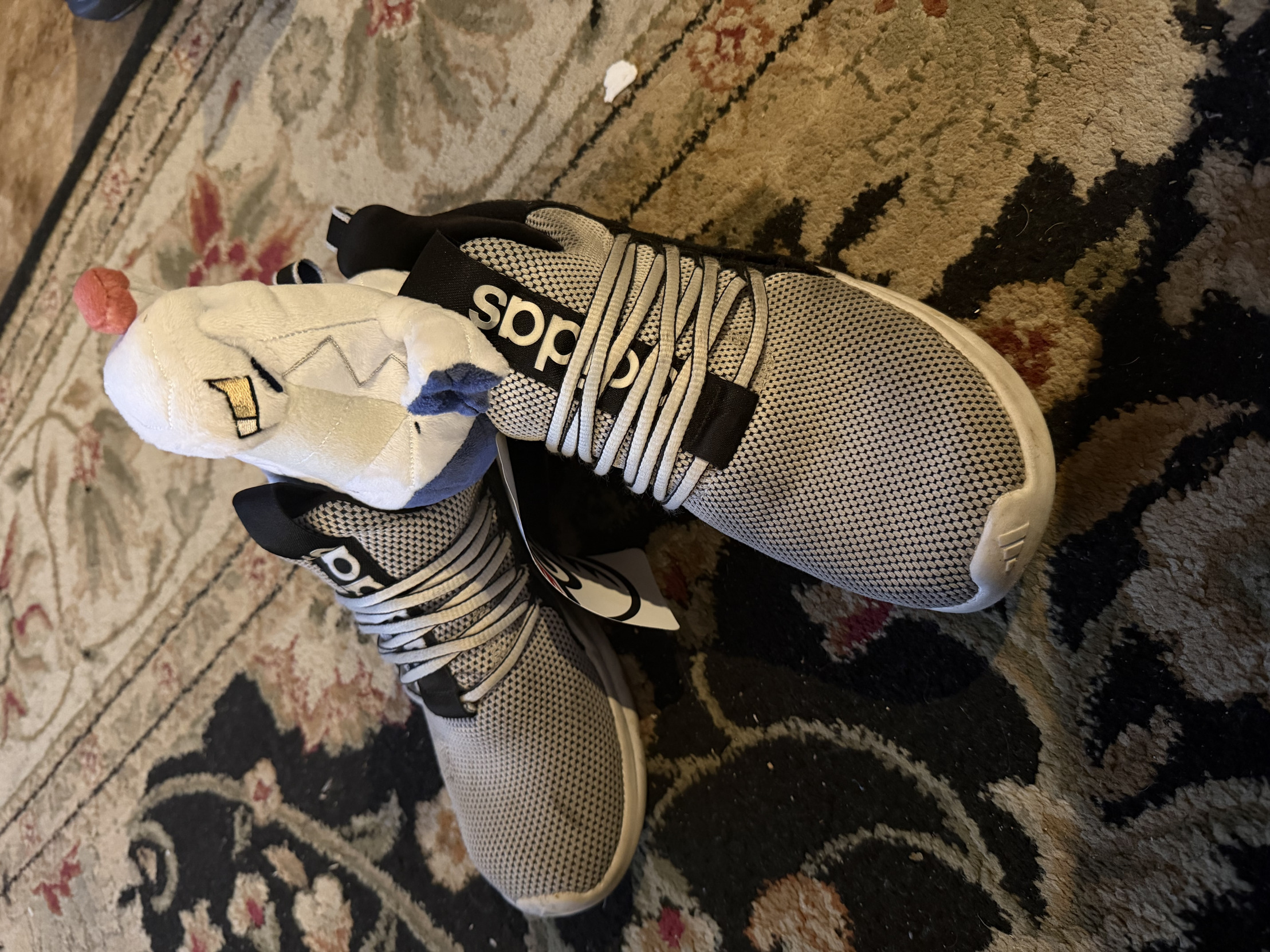 Duraludon with Adidas Blank Meme Template