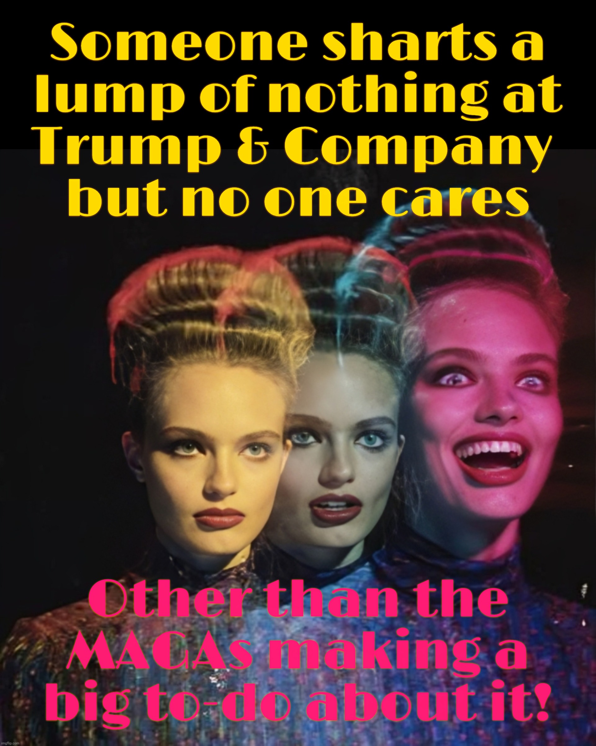 Hardy har har II | Someone sharts a
lump of nothing at
Trump & Company 
but no one cares; Other than the
MAGAs making a big to-do about it! | image tagged in hardy har har ii | made w/ Imgflip meme maker