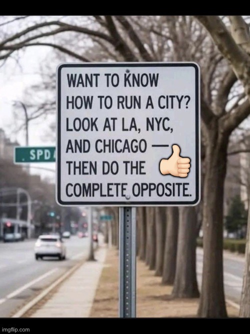 Good advice… | 👍🏻 | image tagged in politics,how to run a city,big blue cities,opposite | made w/ Imgflip meme maker