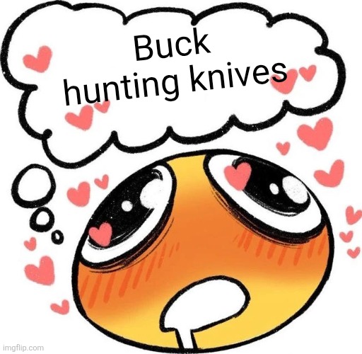 Dreaming Drooling Emoji | Buck hunting knives | image tagged in dreaming drooling emoji | made w/ Imgflip meme maker