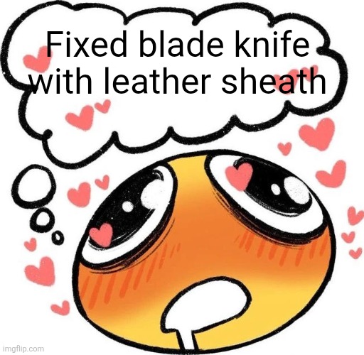 Dreaming Drooling Emoji | Fixed blade knife with leather sheath | image tagged in dreaming drooling emoji | made w/ Imgflip meme maker