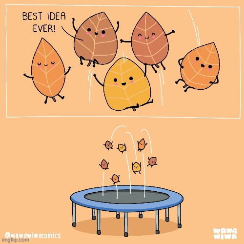 image tagged in leaves,autumn leaves,falling,falling leaves,jumping,trampoline | made w/ Imgflip meme maker