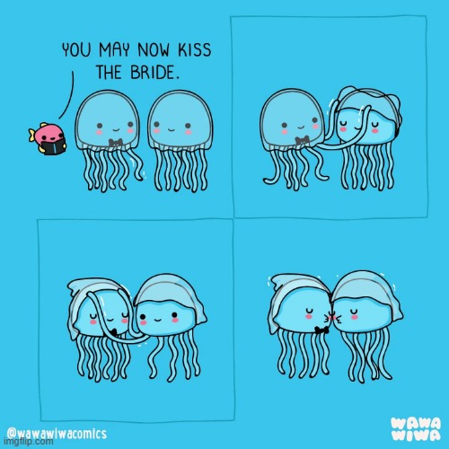 image tagged in fish,jellyfish,wedding,bride,groom,kiss | made w/ Imgflip meme maker