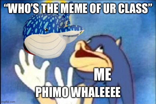 PHIMO WHALE | “WHO’S THE MEME OF UR CLASS”; ME; PHIMO WHALEEEE | image tagged in sonic derp,plush,derp | made w/ Imgflip meme maker