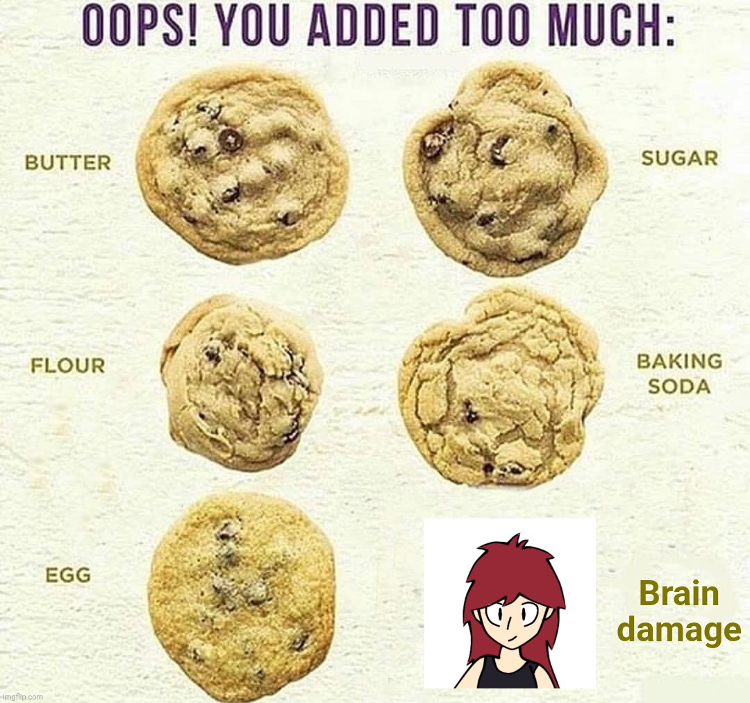 What do you expect from someone with a computer shoved in the back of their skull | Brain damage | image tagged in oops you added too much | made w/ Imgflip meme maker