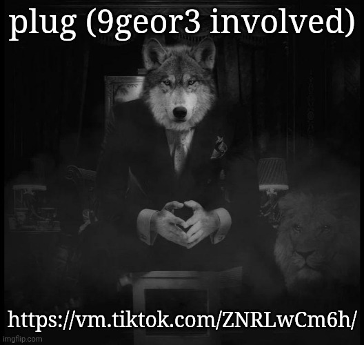 Wolf on a chair | plug (9geor3 involved); https://vm.tiktok.com/ZNRLwCm6h/ | image tagged in wolf on a chair | made w/ Imgflip meme maker