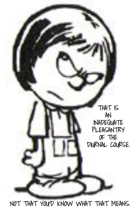 Humph | THAT IS AN INADEQUATE PLEASANTRY OF THE DIURNAL COURSE. NOT THAT YOU'D KNOW WHAT THAT MEANS. | image tagged in humph | made w/ Imgflip meme maker