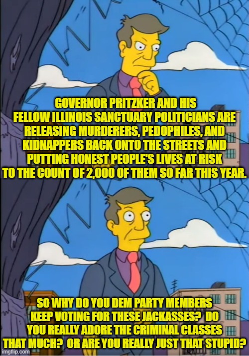 Voting is really the only way you Dems can say 'NO!' to this stuff.  Keep that in mind. | GOVERNOR PRITZKER AND HIS FELLOW ILLINOIS SANCTUARY POLITICIANS ARE RELEASING MURDERERS, PEDOPHILES, AND KIDNAPPERS BACK ONTO THE STREETS AND PUTTING HONEST PEOPLE'S LIVES AT RISK TO THE COUNT OF 2,000 OF THEM SO FAR THIS YEAR. SO WHY DO YOU DEM PARTY MEMBERS KEEP VOTING FOR THESE JACKASSES?  DO YOU REALLY ADORE THE CRIMINAL CLASSES THAT MUCH?  OR ARE YOU REALLY JUST THAT STUPID? | image tagged in skinner out of touch | made w/ Imgflip meme maker