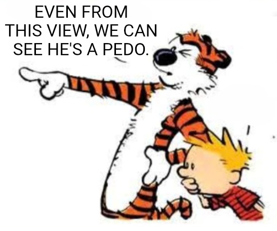 EVEN FROM THIS VIEW, WE CAN SEE HE'S A PEDO. | image tagged in whoa | made w/ Imgflip meme maker