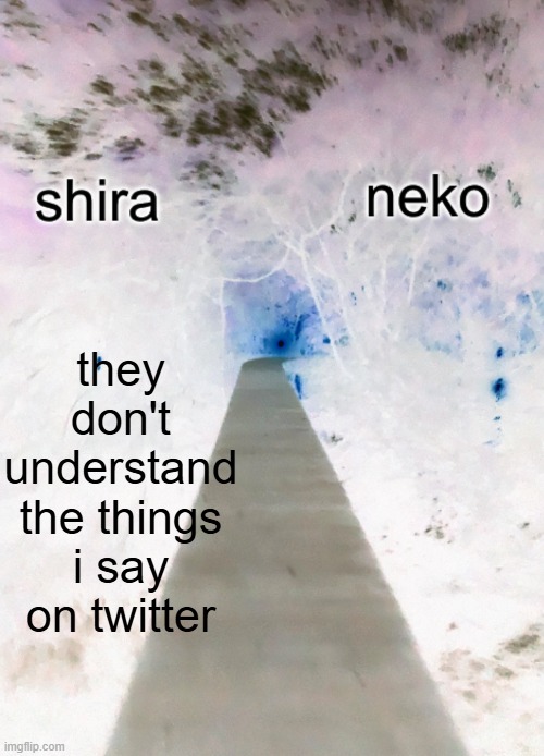 NHH | they don't understand the things i say on twitter | image tagged in shira n neko shared temp | made w/ Imgflip meme maker
