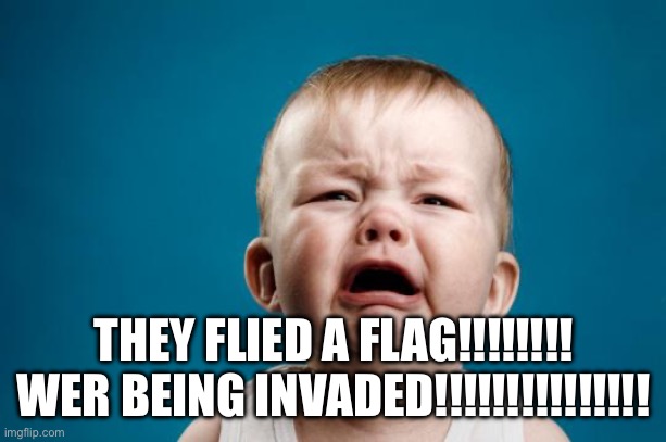 BABY CRYING | THEY FLIED A FLAG!!!!!!!! WER BEING INVADED!!!!!!!!!!!!!!! | image tagged in baby crying | made w/ Imgflip meme maker