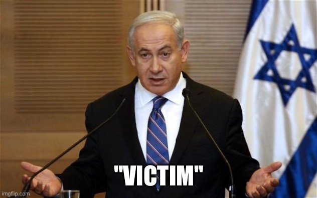 Benjamin Netanyahu | "VICTIM" | image tagged in benjamin netanyahu | made w/ Imgflip meme maker