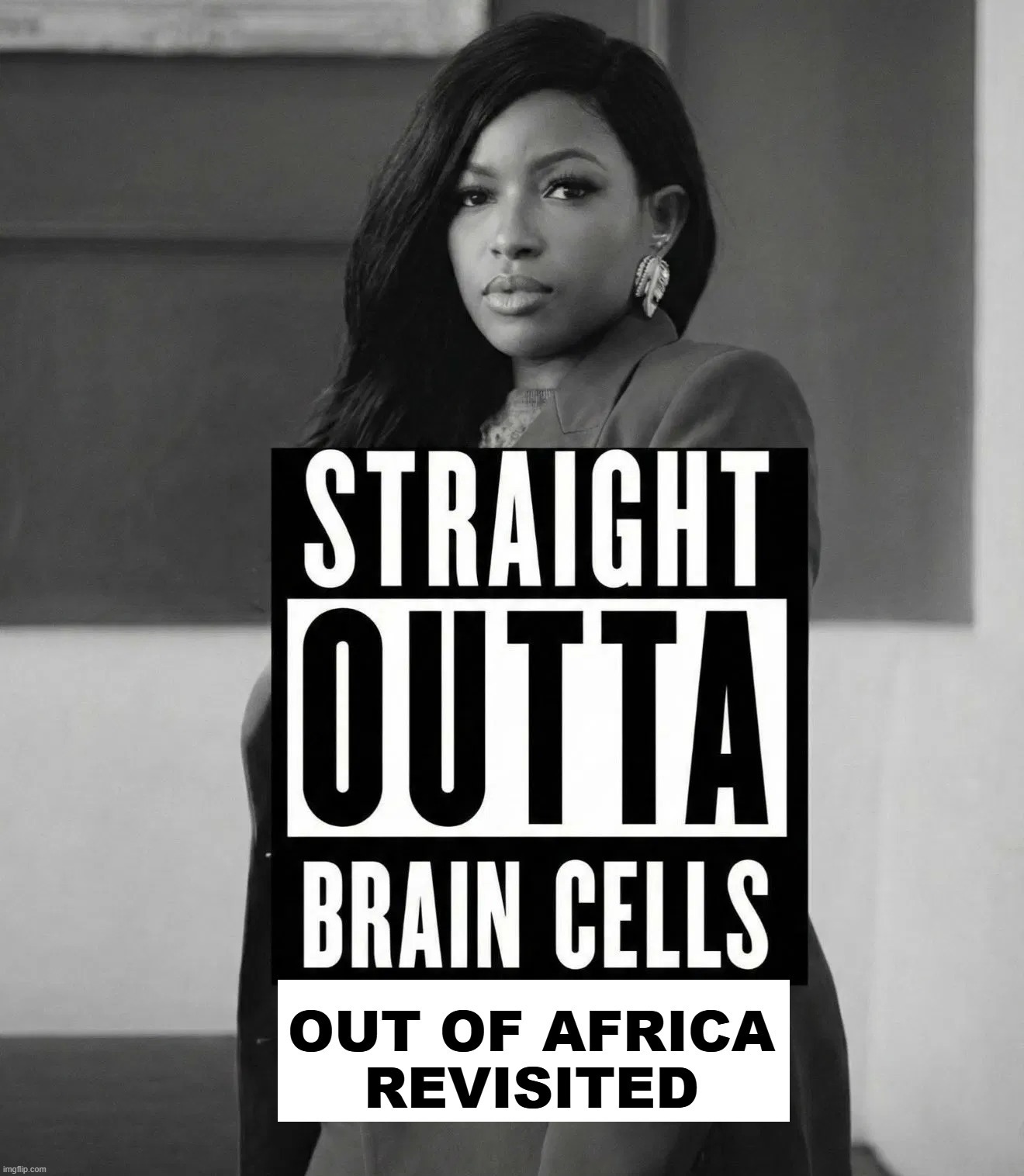 Out of Africa Revisited | image tagged in out of africa,stupid people be like,jasmine crockett,do you are have stupid,special kind of stupid,short bus | made w/ Imgflip meme maker