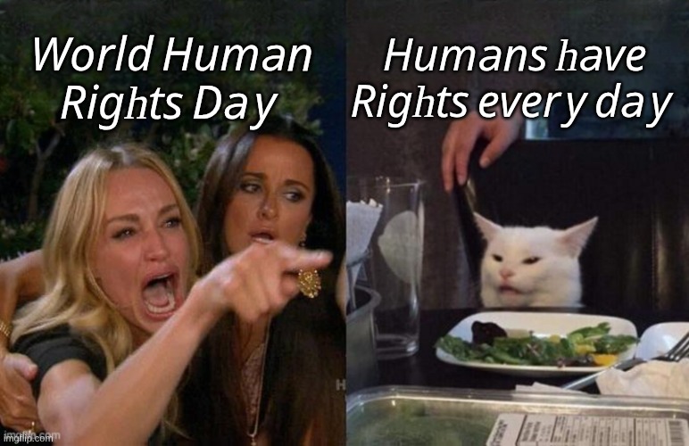 Humans have Rights every day. | 𝐻𝑢𝑚𝑎𝑛𝑠 ℎ𝑎𝑣𝑒 𝑅𝑖𝑔ℎ𝑡𝑠 𝑒𝑣𝑒𝑟𝑦 𝑑𝑎𝑦; 𝑊𝑜𝑟𝑙𝑑 𝐻𝑢𝑚𝑎𝑛 𝑅𝑖𝑔ℎ𝑡𝑠 𝐷𝑎𝑦 | image tagged in smudge the cat,human rights,freedom,liberty,what do we want | made w/ Imgflip meme maker