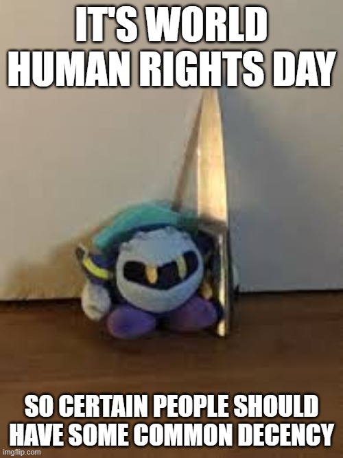 meta knight knife | IT'S WORLD HUMAN RIGHTS DAY; SO CERTAIN PEOPLE SHOULD HAVE SOME COMMON DECENCY | image tagged in meta knight knife | made w/ Imgflip meme maker