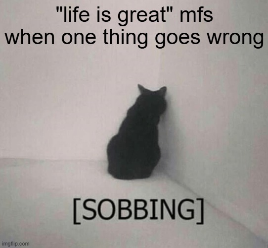 Sobbing cat | "life is great" mfs when one thing goes wrong | image tagged in sobbing cat | made w/ Imgflip meme maker