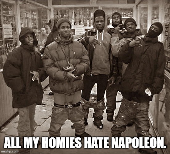 All My Homies Hate | ALL MY HOMIES HATE NAPOLEON. | image tagged in all my homies hate | made w/ Imgflip meme maker