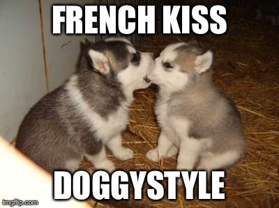 Cute Puppies | FRENCH KISS DOGGYSTYLE | image tagged in memes,cute puppies | made w/ Imgflip meme maker