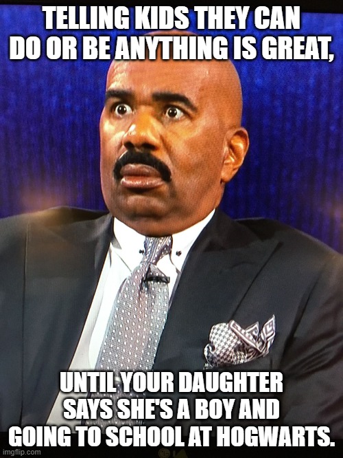 Steve Harvey WTF Face | TELLING KIDS THEY CAN DO OR BE ANYTHING IS GREAT, UNTIL YOUR DAUGHTER SAYS SHE'S A BOY AND GOING TO SCHOOL AT HOGWARTS. | image tagged in steve harvey wtf face | made w/ Imgflip meme maker