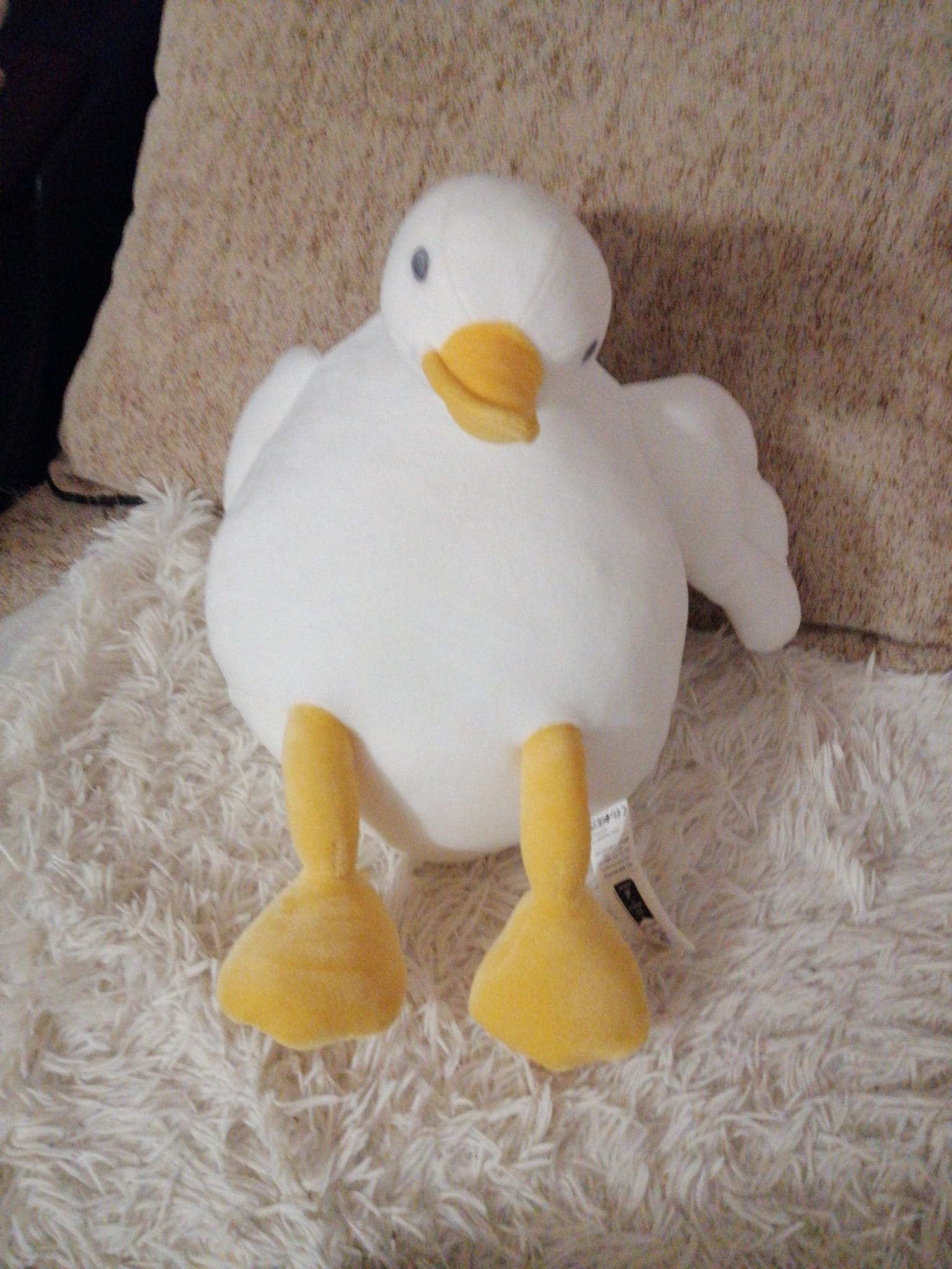 Save 21 Blank Meme Template