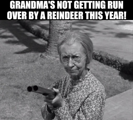 Grandma's Not Getting Run Over By A Reindeer This Year! | GRANDMA'S NOT GETTING RUN OVER BY A REINDEER THIS YEAR! | image tagged in chrisjoines1 | made w/ Imgflip meme maker