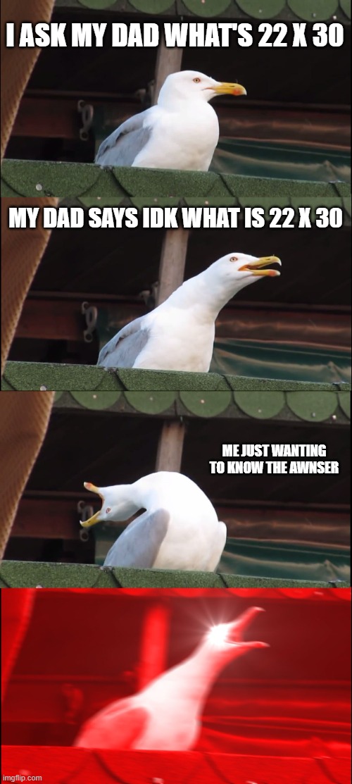 Inhaling Seagull Meme | I ASK MY DAD WHAT'S 22 X 30; MY DAD SAYS IDK WHAT IS 22 X 30; ME JUST WANTING TO KNOW THE AWNSER | image tagged in memes,inhaling seagull | made w/ Imgflip meme maker