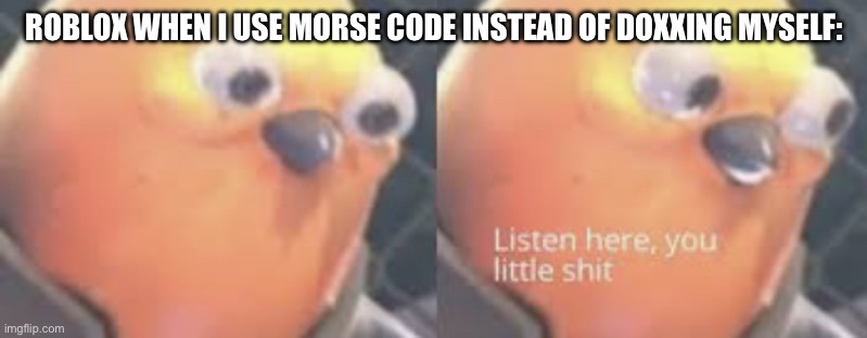 Listen here you little shit bird | ROBLOX WHEN I USE MORSE CODE INSTEAD OF DOXXING MYSELF: | image tagged in listen here you little shit bird | made w/ Imgflip meme maker
