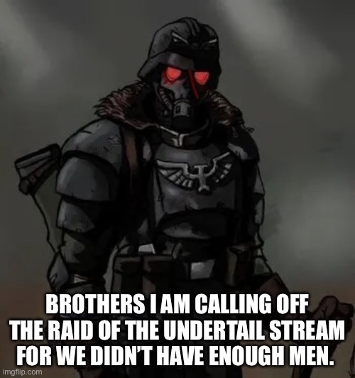 Krieg grenadier | BROTHERS I AM CALLING OFF THE RAID OF THE UNDERTAIL STREAM FOR WE DIDN’T HAVE ENOUGH MEN. | image tagged in krieg grenadier | made w/ Imgflip meme maker