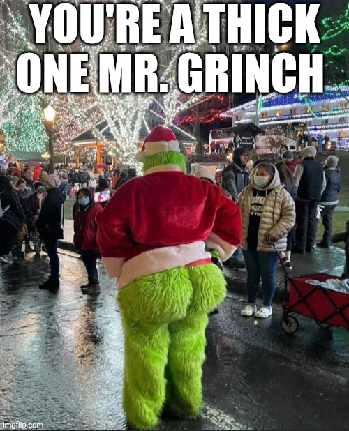 You're A Thick One Mr. Grinch | YOU'RE A THICK ONE MR. GRINCH | image tagged in chrisjoines1 | made w/ Imgflip meme maker