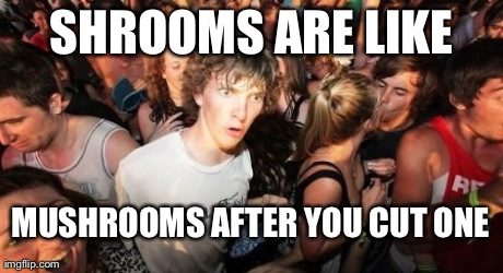 Sudden Clarity Clarence | SHROOMS ARE LIKE MUSHROOMS AFTER YOU CUT ONE | image tagged in memes,sudden clarity clarence | made w/ Imgflip meme maker