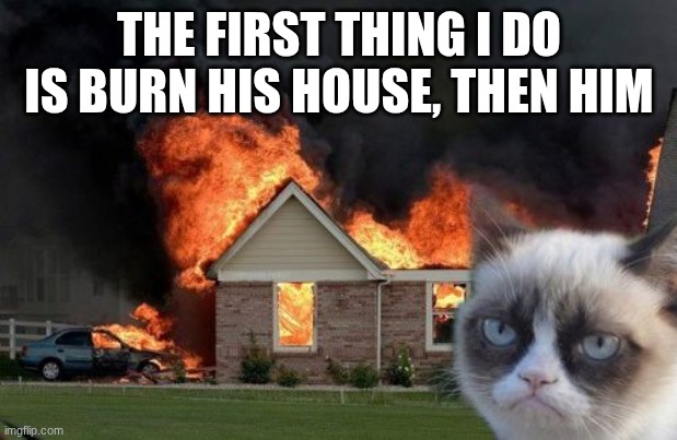 Burn Kitty Meme | THE FIRST THING I DO IS BURN HIS HOUSE, THEN HIM | image tagged in memes,burn kitty,grumpy cat | made w/ Imgflip meme maker